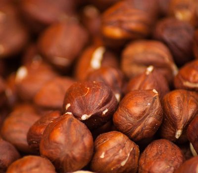 hazelnuts, hazel, nuts, dried, protein, food, snack, brown food, hazelnuts, hazelnuts, hazelnuts, hazelnuts, hazelnuts, hazel, nuts, nuts, nuts, nuts, protein