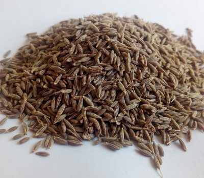 cumin, white cumin, herbs, ayurveda, medicinal herbs, healthy, cumin, cumin, cumin, cumin, cumin