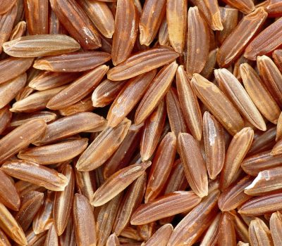 red camargue rice, top rice, natural rice, long-grain, grain of rice, grain, food, nourishment, structure, macro, close up