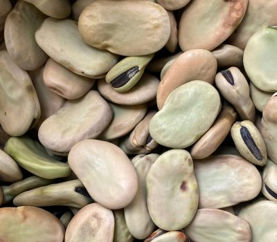 Detailed view of raw fava beans in various shades, showcasing texture and color.