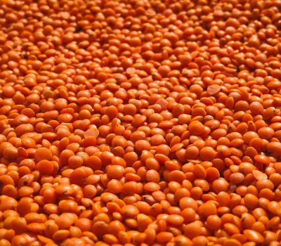 Close-up view of vivid orange lentils creating a textured, rich earthy background.