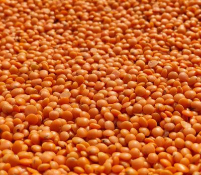 High-resolution close-up of a large pile of dried red lentils, perfect for cooking inspiration.